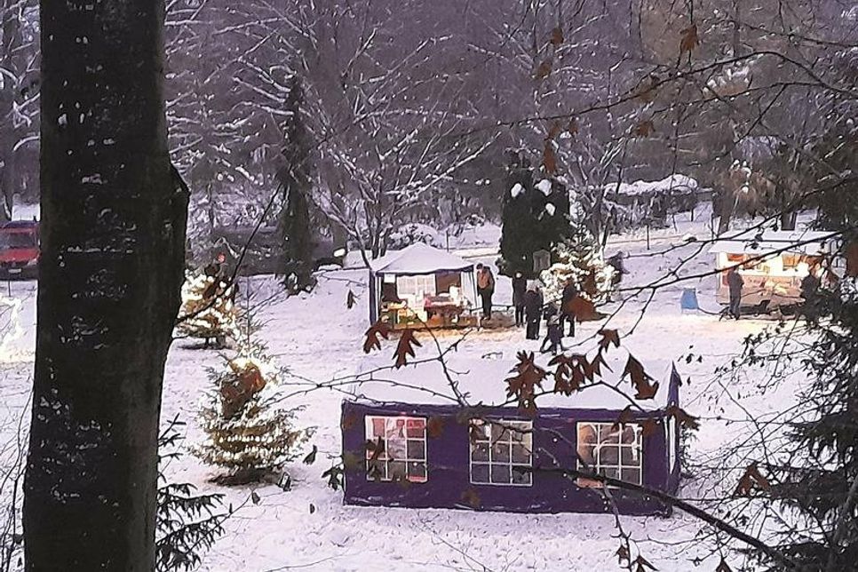 Eine zauberhafte Atmosphäre gab es in der Lütjenburger Tannenschlucht.