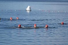 Leuchtendrote Badekappen machten die eifrigen Schwimmerinnen und Schwimmer weithin sichtbar.