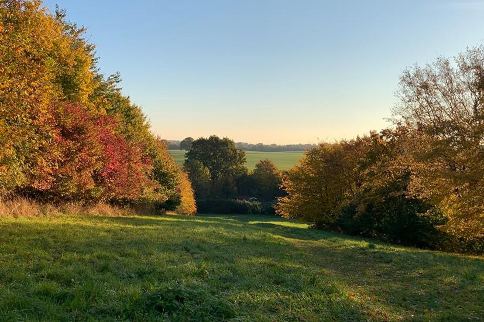 Im Feldweg hinter dem Postberg fanden zwei Spaziergängerinnen eine leere Babyschale und hörten verdächtige Geräusche.