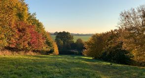 Im Feldweg hinter dem Postberg fanden zwei Spaziergängerinnen eine leere Babyschale und hörten verdächtige Geräusche.