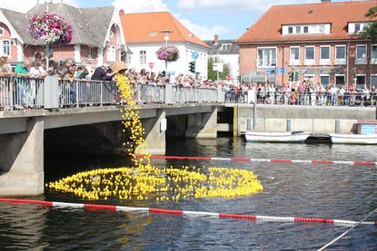 Das Lions-Entenrennen im Neustädter Hafen ist ein echtes Sommer-Highlight für die ganze Familie.