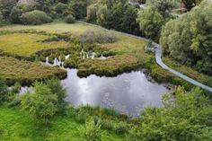 Der Steg durch den Pfarrhof Schönwalde führt über eine vernässte Senke, das Herzstück des Naturerlebnisraums seit 15 Jahren. Hier wurde nicht nur die Rotbauchunke wieder heimisch, sondern auch weitere gefährdete Tier- und Pflanzenarten. Der Naturerlebnisraum wird vom Umweltministerium als ein Hotspot der Artenvielfalt bezeichnet. Er wird von der Biologin Katrin Romahn ökologisch betreut. (Foto: Felix Werner)