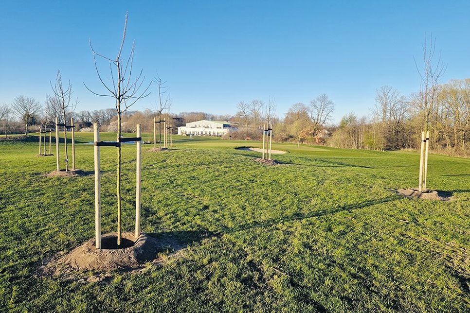 111 Bäume sollen in den kommenden Jahren im Lanschaftsschutzgebiet rund um den Maritim Golfpark Ostsee in Warnsdorf gepflanzt werden.