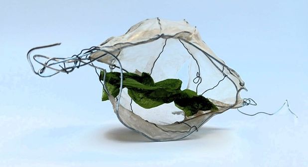 Cocooning Kapsel mit Grün der Künstlerin Anja Schlereth.