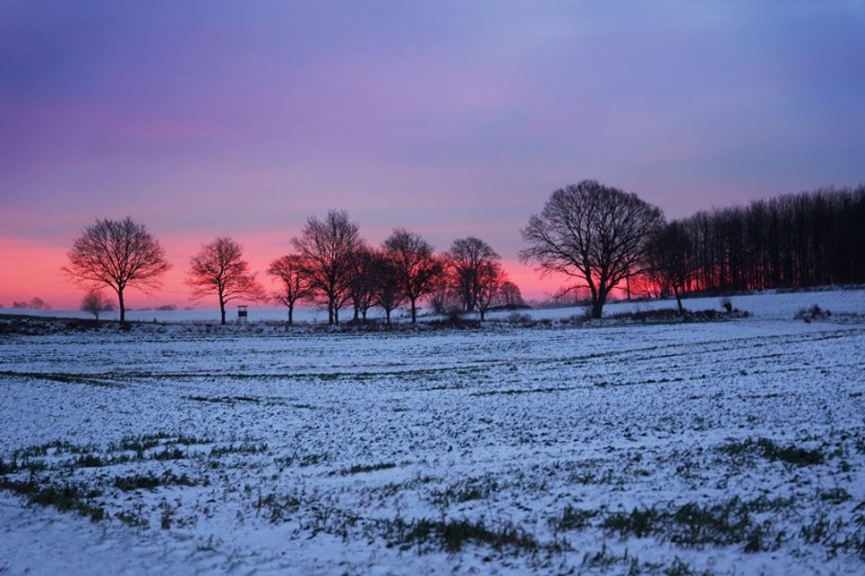 Der Wind hatte den Pulverschnee am Freitagmorgen schon zum Großteil von den Feldern geweht.