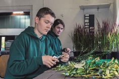 Abwechslungsreich und wichtig für die Zukunft: Ausbildung zum Baumschulgärtner.