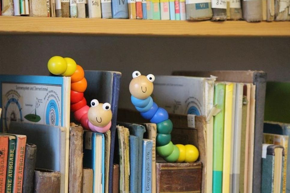 Diese zwei lustigen Bücherwürmer aus dem Dorf- und Schulmuseum Schönwalde suchen dringend nach menschlicher Verstärkung zur Betreuung der gut 45 Regalmeter mit Büchern zum Thema Schule und der Geschichte des Ortes.