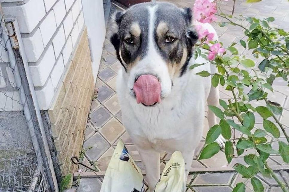 …und Tierhalter über großzügige Gaben.