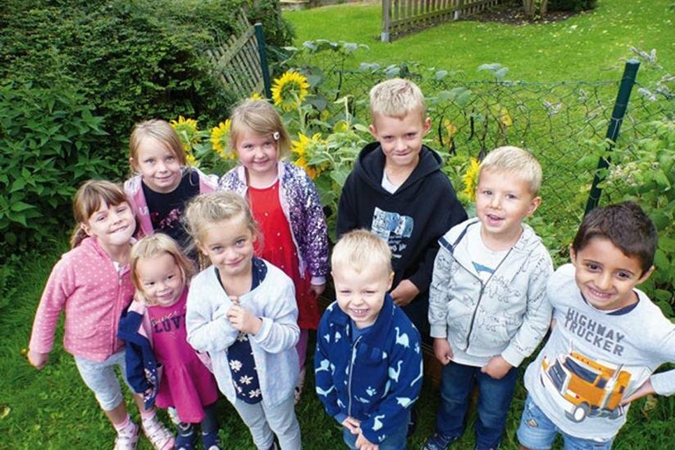 Auf ihr Sonneblumen-Bohnen-Beet sind die kleinen Sarauer zu Recht richtig stolz. Mit ihrem Garten-Projekt nehmen sie wieder am Martin Meiners-Förderverein-Wettbewerb für die Segeberger KiTas teil. Und wen würde es wundern, wenn sie den gewinnen?
