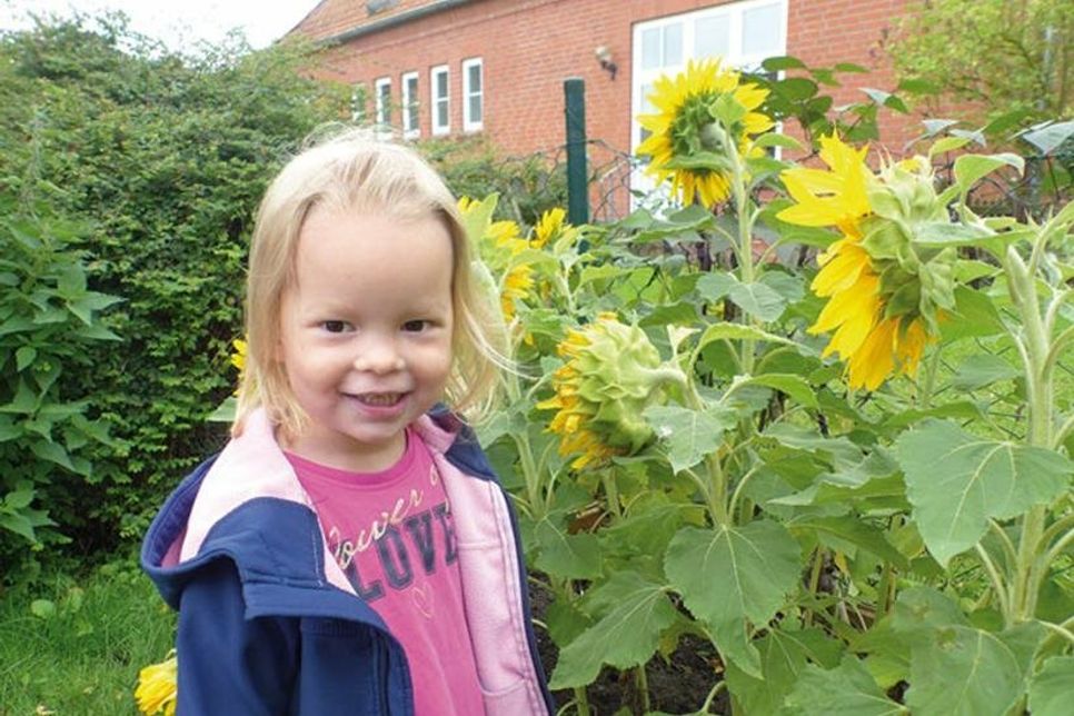 Amelie mag am allerliebsten die dicken Sonnenblumen, da drückt sie ihr ganzes Gesicht rein und freut sich an Duft und Farbe.