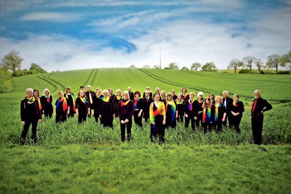 Die Voice Company Eutin ist ein bunt gemischter Gospelchor mit ungefähr 45 Sängerinnen und Sängern. Unter dem Dach der VHS Eutin und der Kreismusikschule Ostholstein singt der Chor seit 1997 mit viel Spaß und Leidenschaft. Seit Oktober 2013 steht der Chor unter professioneller Leitung von Christoph Biehl.