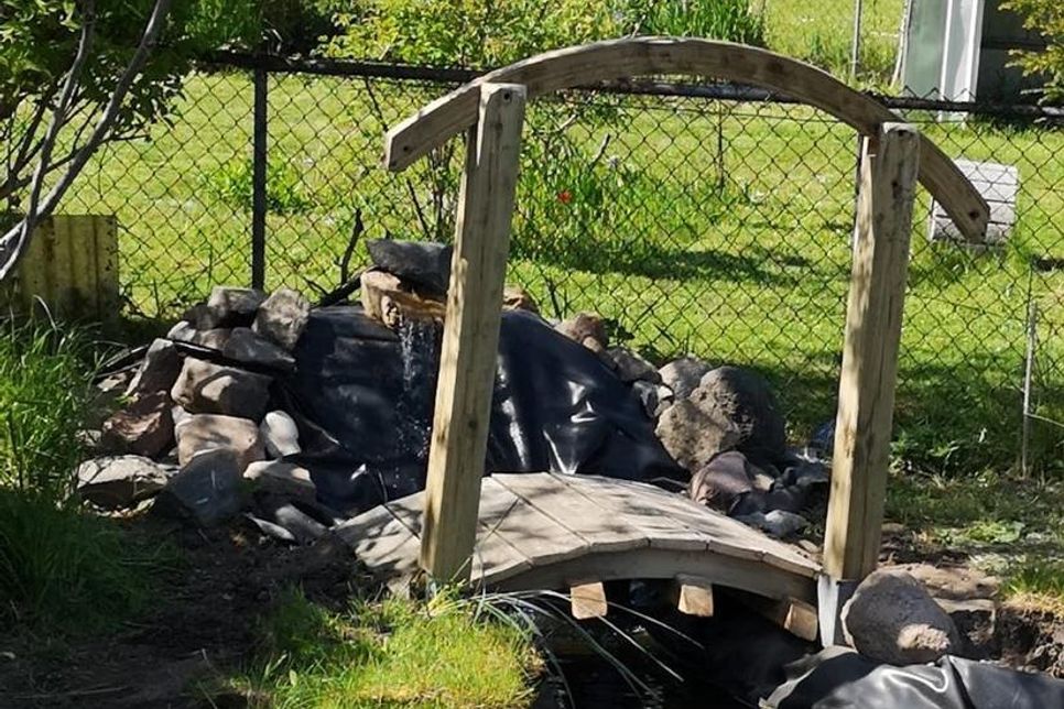 Der „Garten der Begegnung” hat dank der Initiative Jugend nun einen Gartenteich.