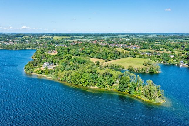 Aufgrund einer Baumerkrankung muss das auf der Landzunge liegende Waldstück (rechts im Bild) bei der Jugendherberge Bad Malente gerodet und wieder aufgeforstet werden. Dies wird nach forstwirtschaftlichen und ökologischen Standards umgesetzt.