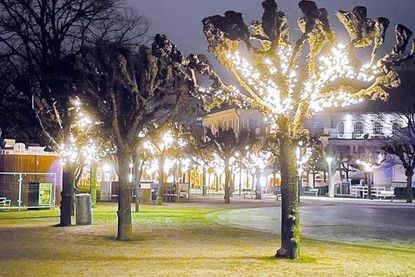 So sieht es aus, wenn die Lichter leuchten.