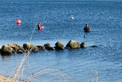Eine besonders gute Zeit zum Brandungsangeln oder Watangeln auf Dorsche sind der Herbst und das Frühjahr. In dieser Zeit kommen die Fische auf der Suche nach Nahrung recht nah ans Ufer und somit in die Wurfweite der Angler.