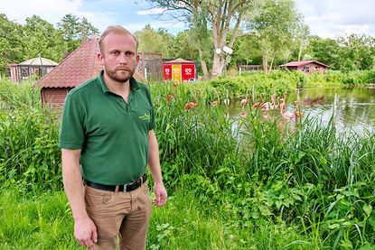 Neue Hiobsbotschaften vom Vogelpark Niendorf: Nach polizeilicher Durchsuchung meldeten Betreiber Insolvenz an