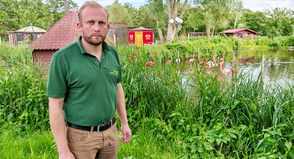 Neue Hiobsbotschaften vom Vogelpark Niendorf: Nach polizeilicher Durchsuchung meldeten Betreiber Insolvenz an