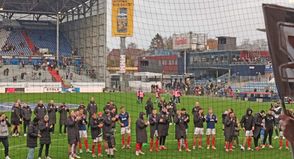 Feiern die Störche auch am Betzenberg?