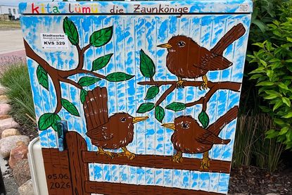 Die Zaunkönige.
