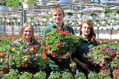 Maike Bichel, Tim Schreiber und Sahrah Quast (v. lks.) freuen sich auf die wärmer werdende Jahreszeit: Zum Saisonbeginn, Anfang Mai, präsentieren sie den Kunden ihre vorgezogenen Pflanzen und Blumenampeln.
