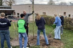 Jan Hinz vom BUND erklärt, worauf man beim Pflanzen junger Bäume achten muss