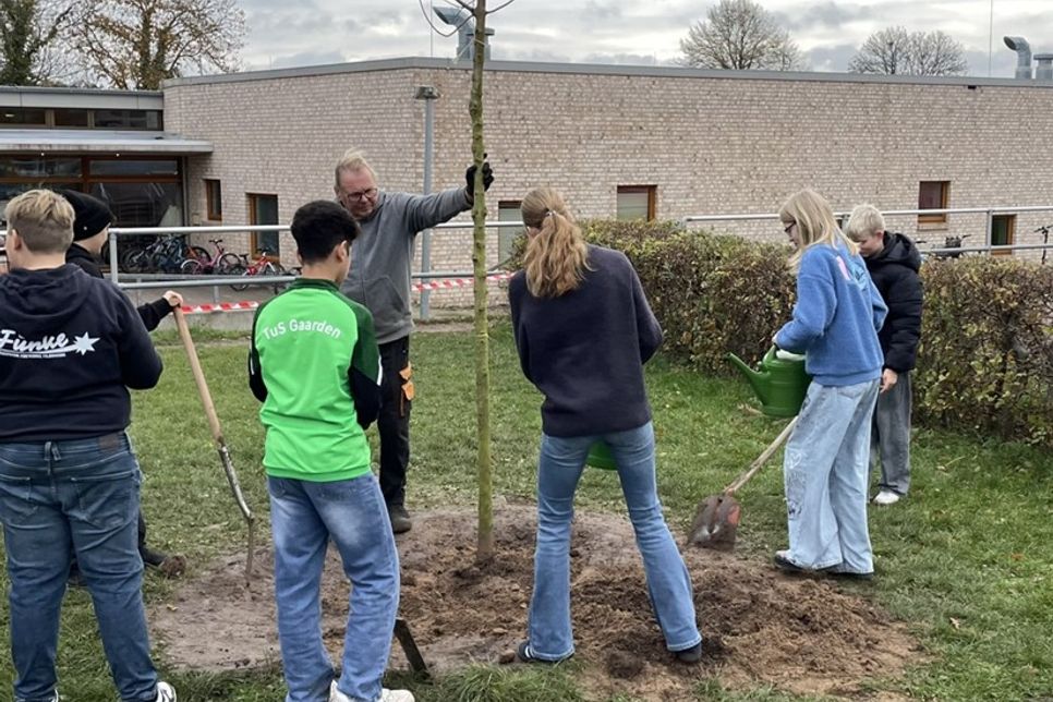 Jan Hinz vom BUND erklärt, worauf man beim Pflanzen junger Bäume achten muss