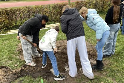 Baumpaten beim Graben der Löcher.