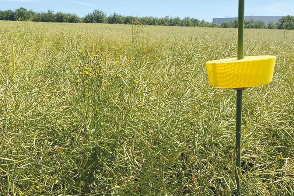 Versuchsaufbau in Bad Schwartau.