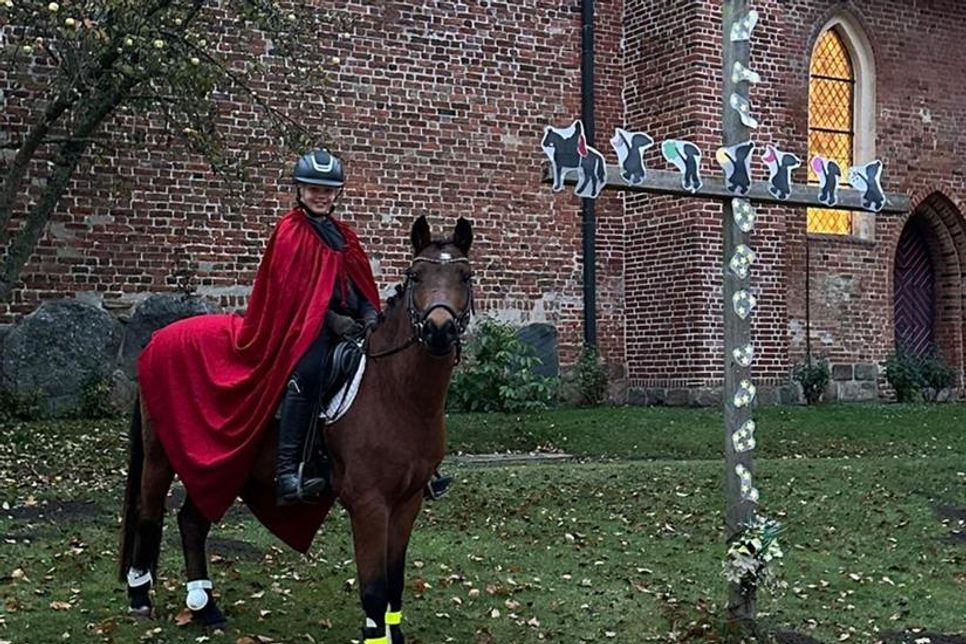 Am 11. November ritt „Sankt Martin“  wieder durch Lensahn.
