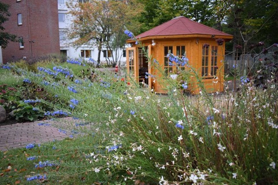 Das Projekt entstammt einer Kooperation zwischen der Alzheimer Gesellschaft SH Selbsthilfe Demenz, dem Kompetenzzentrum Demenz SH und dem Haus am Klostergarten