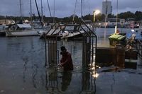 Land unter am Steg D am Jungfernstieg in Neustadt. (Foto: Silke Behla)