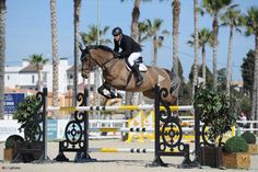 Dietrich Burmeister vom Reit- und Fahrverein Lensahn war mit seinem derzeitigen Spitzenpferd Charly-Brown - der Silberschweif - auf der Mediterranean Equestrian Tour (MET) in Oliva Nova (Spanien) und konnte dort drei Internationale Platzierungen in Prüfungen bis zur Höhe von 1,40 Metern erzielen.