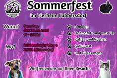 Sommerfest mit Flohmarkt