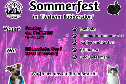 Sommerfest mit Flohmarkt