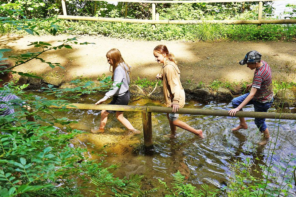 Die Schüler auch nicht nur übers Kneippen recherchiert, sie haben die Gesundheitsmethode des Wassertretens auch vor Ort ausprobiert.