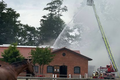 Mit Hilfe einer Drehleiter wurde von oben gelöscht