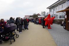 Kellenhusens Maskottchen, der Seestern, bildete die Spitze der Menschenkette.