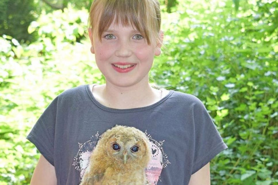Lea (11 Jahre) ist seit letztem Sommer ehrenamtlich im Wildtierheim-Helferteam mit dabei und freut sich, den vielen unterschiedlichen Tieren helfen zu können: hier hat sie einen Waldkauz in der Hand