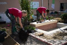 Menschen, die sich für Natur und Umwelt interessieren, gern anpacken und im Team arbeiten wollen, empfiehlt Elise Harder ein Praktikum im GaLaBau.