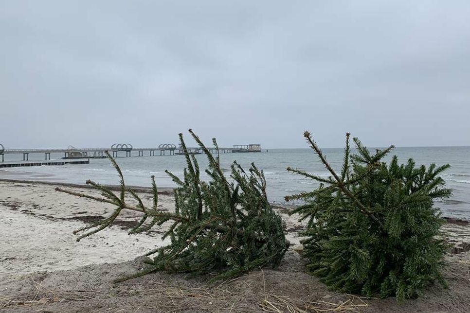 Ausgediente Weihnachtsbäume können beim Bauhof des Tourismus-Service Kellenhusen abgegeben werden.