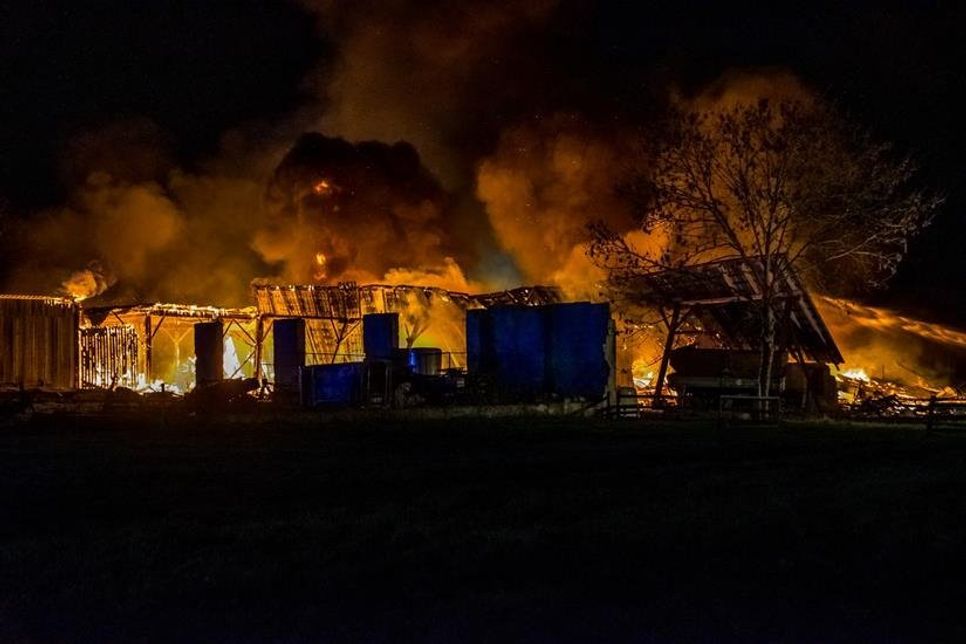 Arne Jappe (arj) Fotojournalist / Digitalfotografie Nyfeler