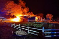 Arne Jappe (arj) Fotojournalist / Digitalfotografie Nyfeler