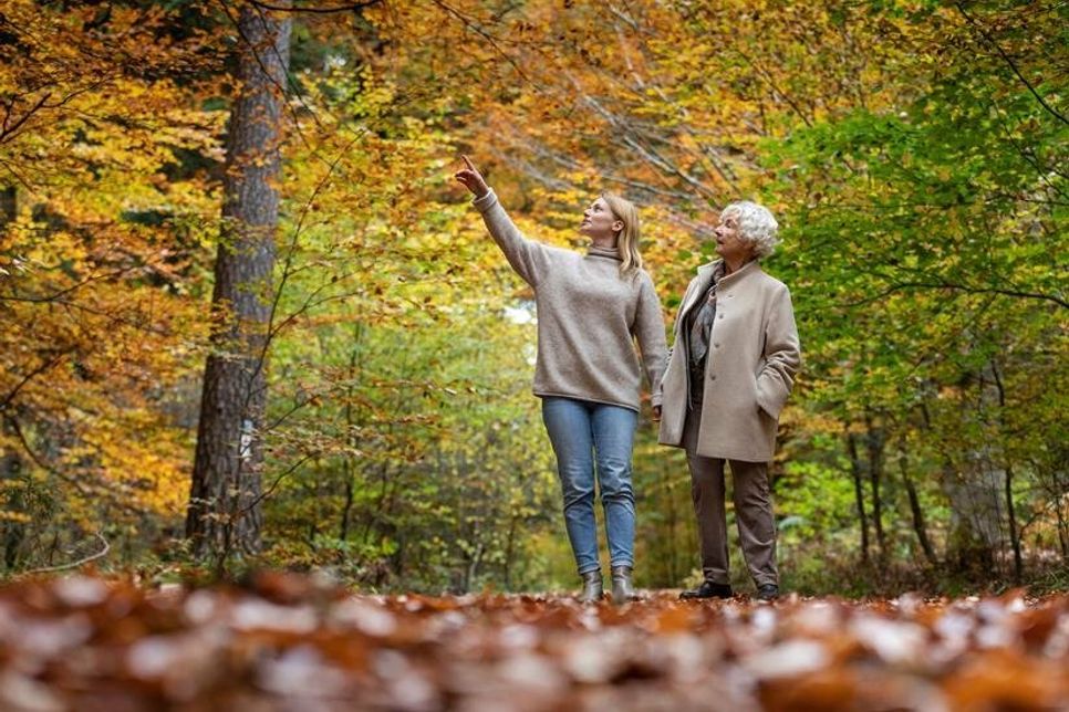 Wenn ein lieber Mensch gestorben ist, stärkt man sich gegenseitig im Kreis der Verwandten - zum Beispiel bei gemeinsamen Spaziergängen im Bestattungswald. Das bestätigt eine aktuelle Studie. Foto: djd/FriedWald
