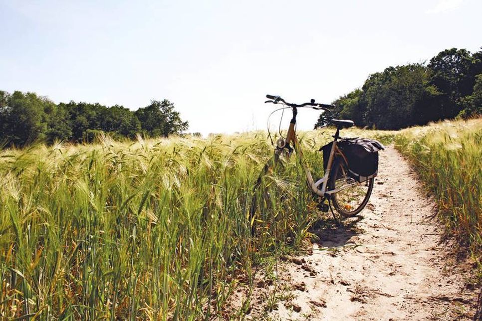 Bei Einheimischen und Urlaubsgästen sehr beliebt: Radfahren in der Natur der Lübecker Bucht. (Foto: TALB)