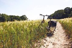 Bei Einheimischen und Urlaubsgästen sehr beliebt: Radfahren in der Natur der Lübecker Bucht. (Foto: TALB)