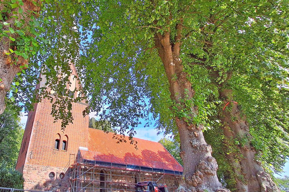 Die Blekendorfer Kirche St. Claren ist aufgrund von Sanierungsarbeiten in den kommenden Monaten geschlossen – die Kirchengemeinde weicht auf andere Möglichkeiten aus.