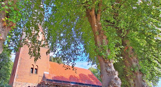 Die Blekendorfer Kirche St. Claren ist aufgrund von Sanierungsarbeiten in den kommenden Monaten geschlossen – die Kirchengemeinde weicht auf andere Möglichkeiten aus.