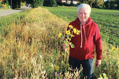 Der Umweltbeiratsvorsitzende Rudolf Meisterjahn hatte zum Vor-Ort-Termin eingeladen.