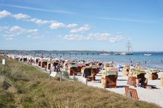 Sommer, Sonne, Ostseebrise: Zahlreiche Strandkörbe säumen den feinsandigen Strand von Scharbeutz.