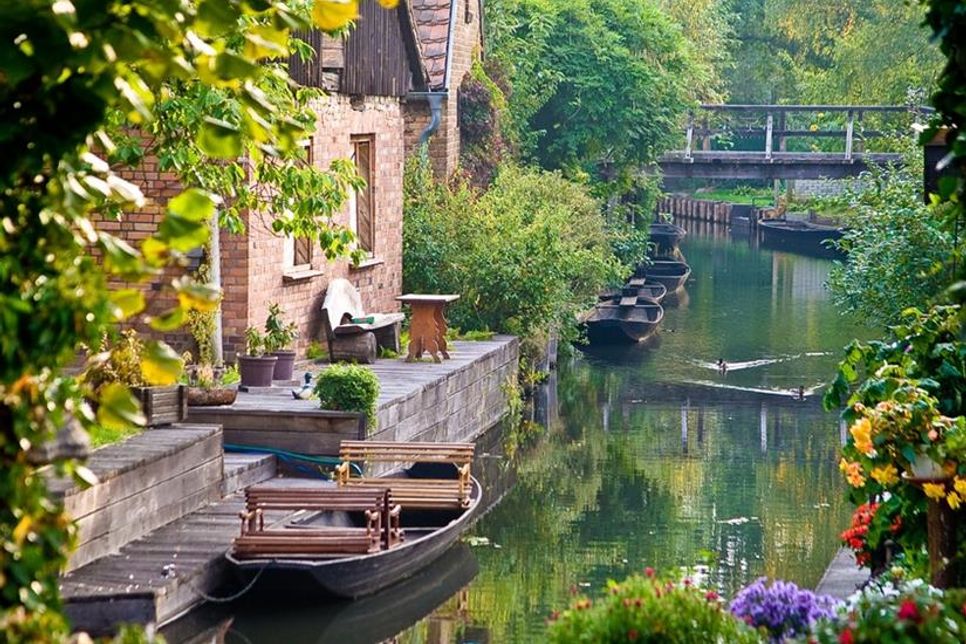 Malerische Wasserwege im Spreewald: Ein Paradies für Naturliebhaber und Entdecker.